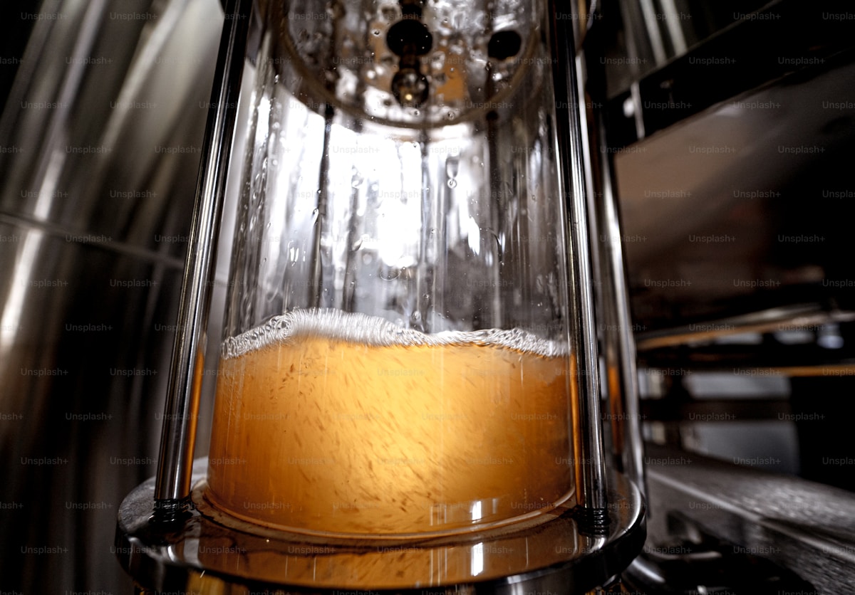 Beer brewing process explained